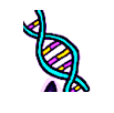 DNS