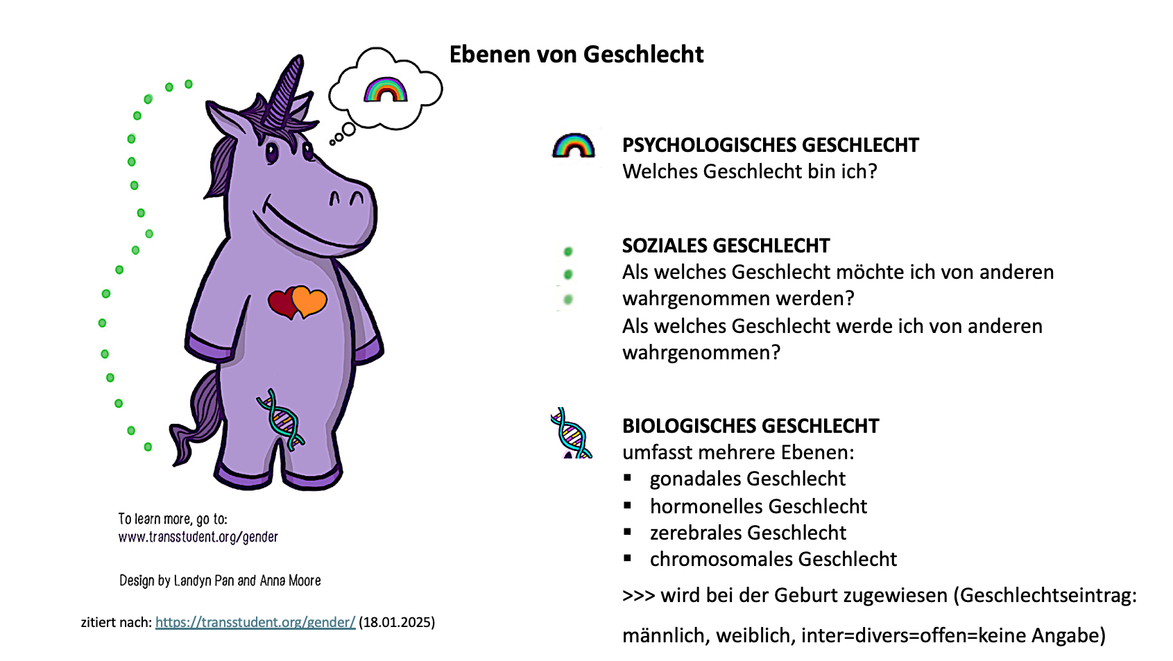 Ebenen von Geschlecht