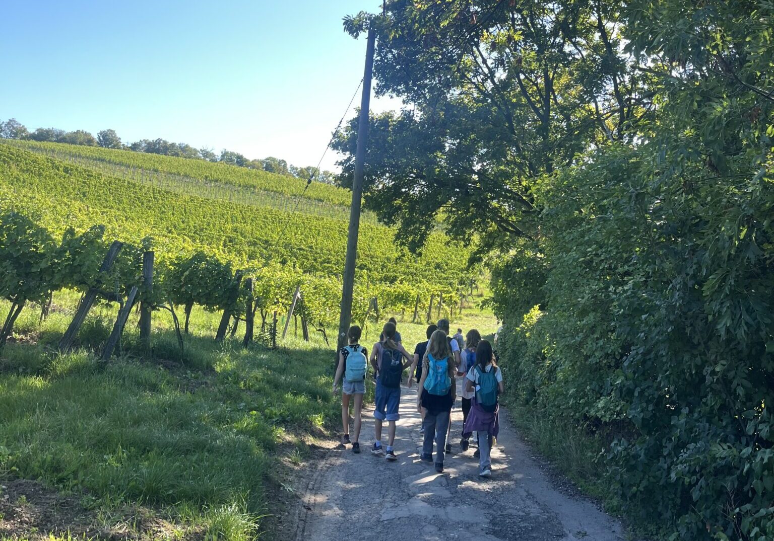 20250919_2B_Wandertag_i_KOL.heic