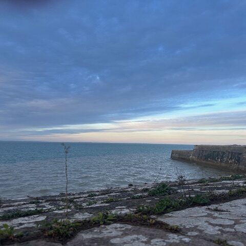 20260215_Erasmus_OST_a