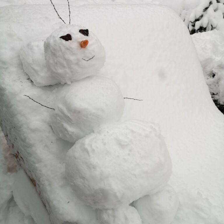 20260220_7A_Schneemann_RAN_c