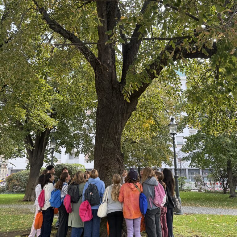 20261005_Mental Health Walk_a_SEI