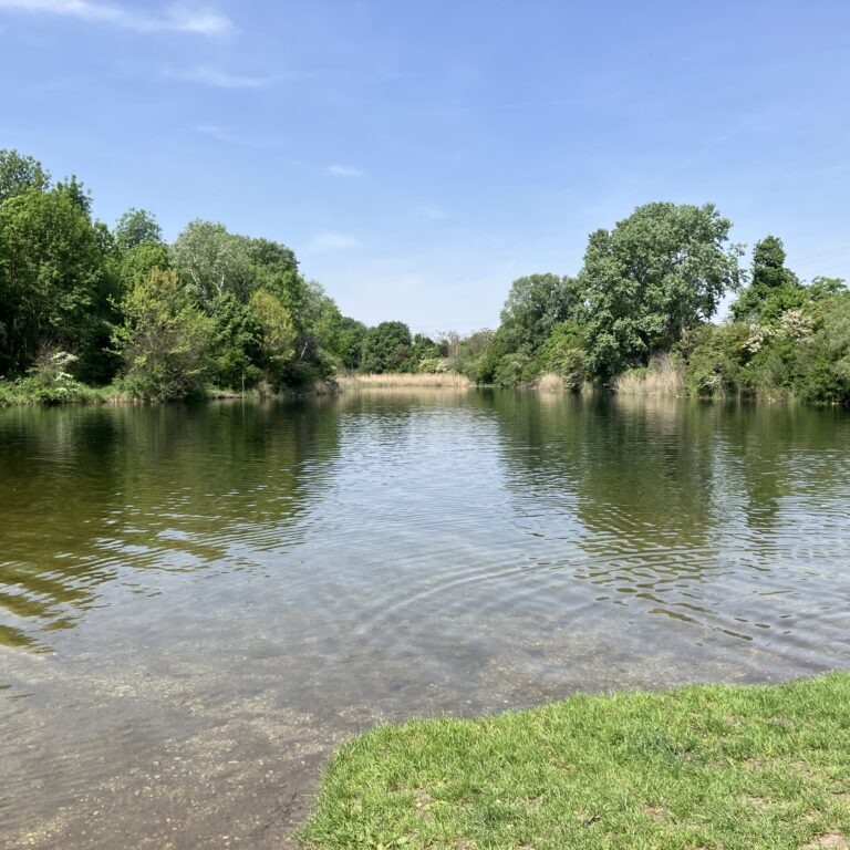 Lobau im Frühling 25